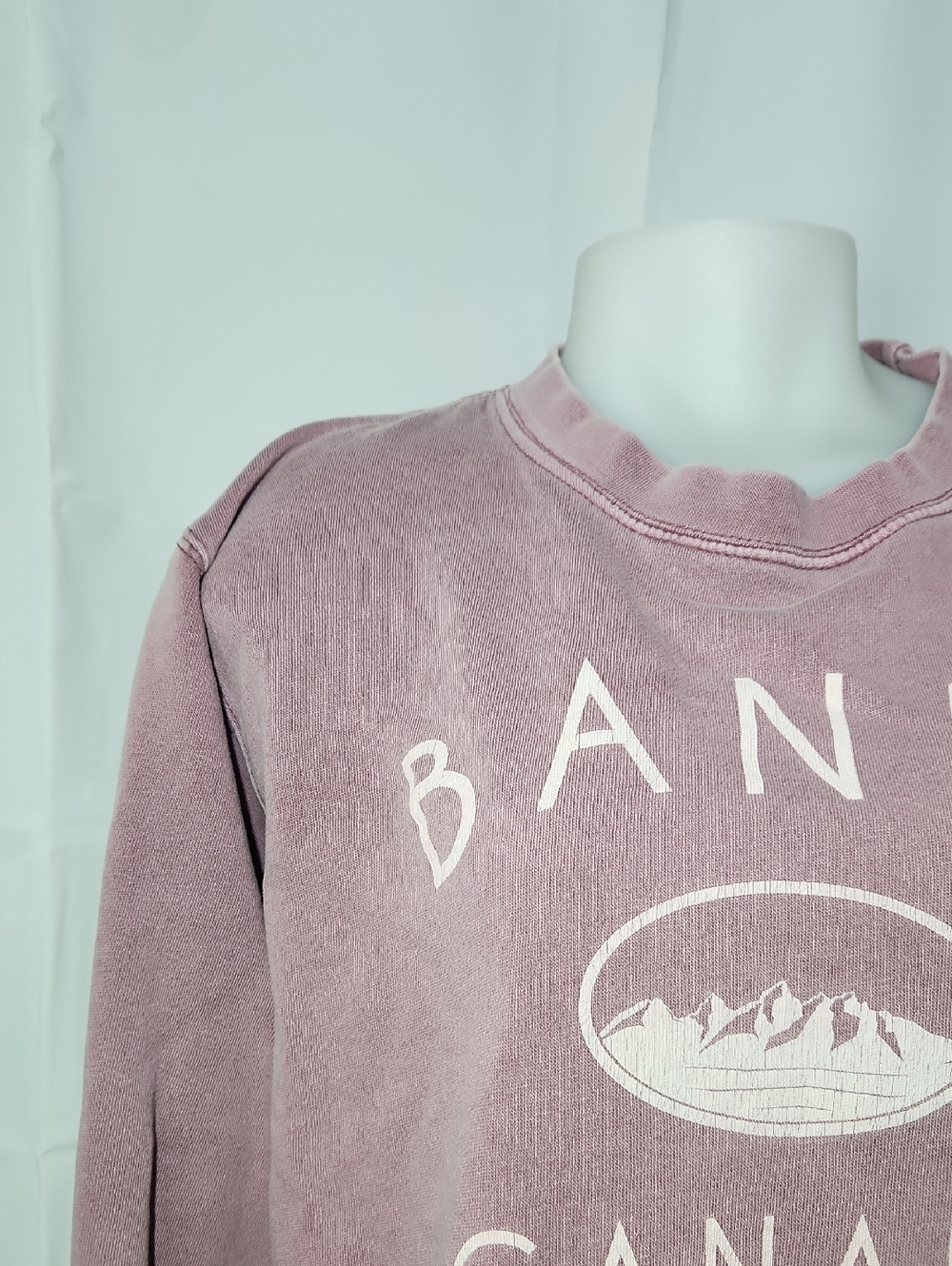 Coastal Culture Women's Mauve Banff Canada Crewneck Sweatshirt - Medium - Picture 2 of 12